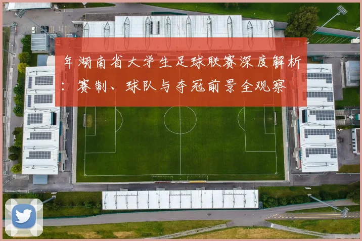 年湖南省大学生足球联赛深度解析：赛制、球队与夺冠前景全观察